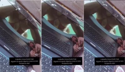 Fer Oliver mostrando seus peitão maravilhosos